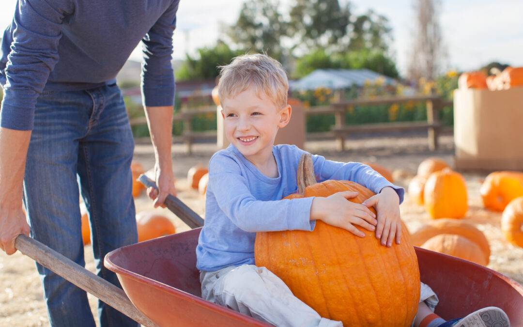 Fall into coverage: how local insurance agents can support seasonal events for small businesses